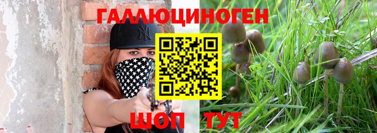 Псилоцибиновые грибы Magic Shrooms  Вход с VPN  Тольятти  Галлюциногенные грибы MAGIC MUSHROOMS 