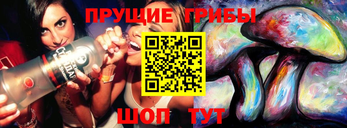Псилоцибиновые грибы Psilocybine cubensis Тольятти